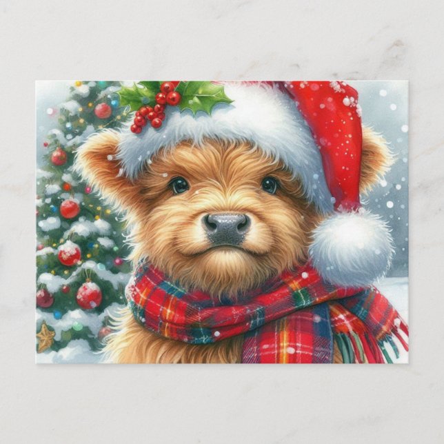 Highland Cow Christmas Greetings Holiday Postcard (Front)