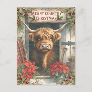 Highland Cow Christmas Postcard