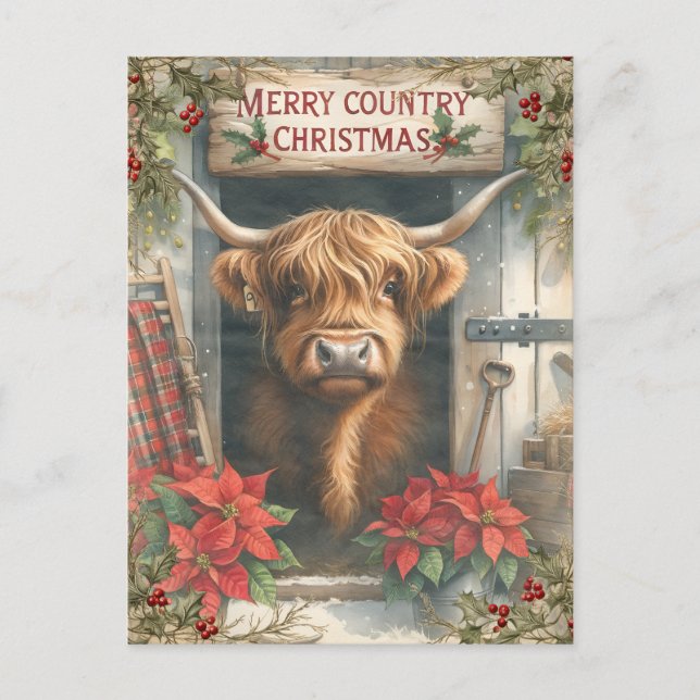 Highland Cow Christmas Postcard (Front)