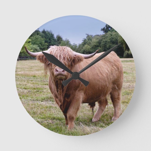 Highland Cow Clock (Front)