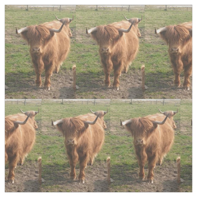 Highland Cow Fabric (Swatch)