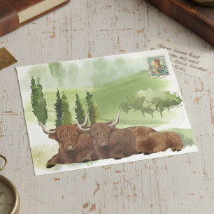  Highland Cow Family Watercolor Scotland Postcard