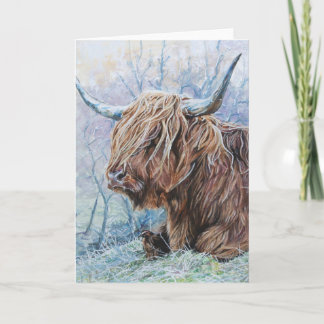 Highland cow, frosty morning holiday card