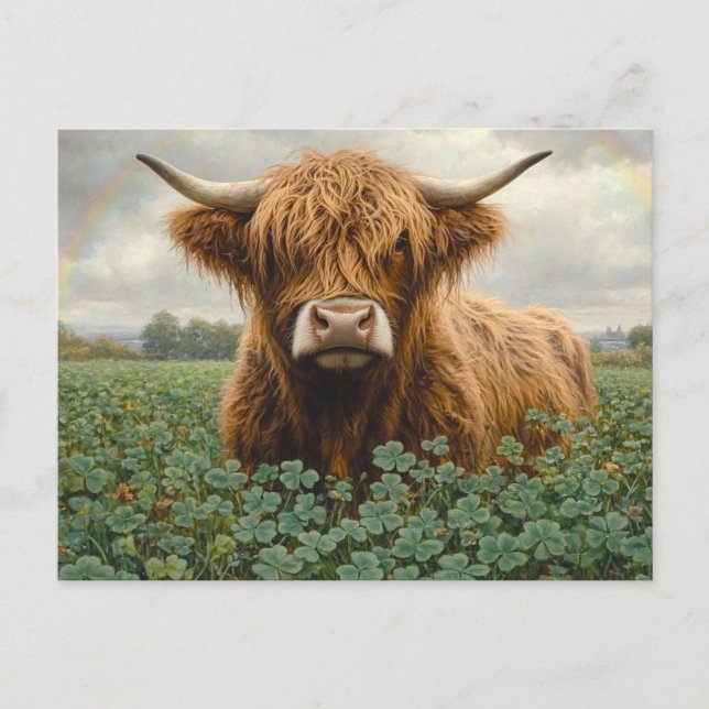 Highland Cow in a Clover Field Postcard (Front)