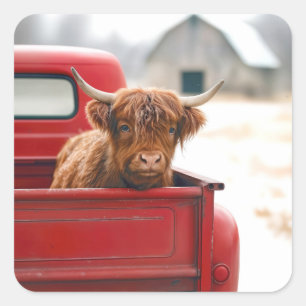 Highland Cow In a Red Retro Pickup Truck Square Sticker