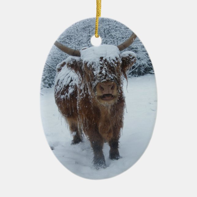 Highland Cow in the Snow Ceramic Ornament (Front)