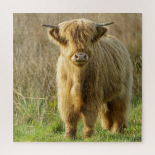Highland Cow Jigsaw Puzzle