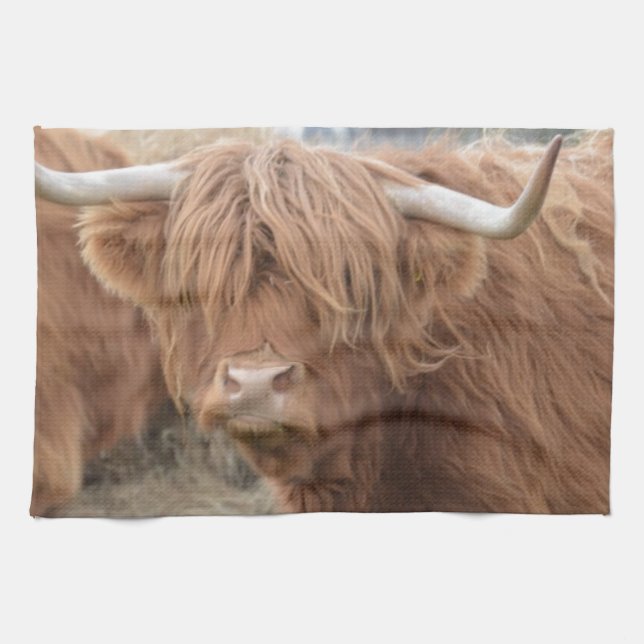 Highland Cow Kitchen Towel (Horizontal)