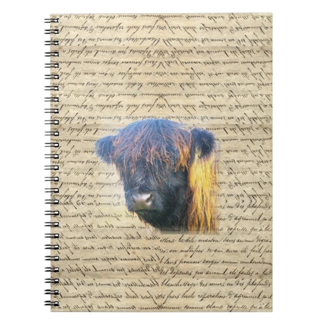 Highland cow notebook (Front)