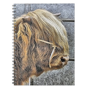 HIGHLAND COW NOTEBOOK