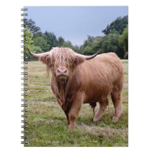 Highland Cow Notebook