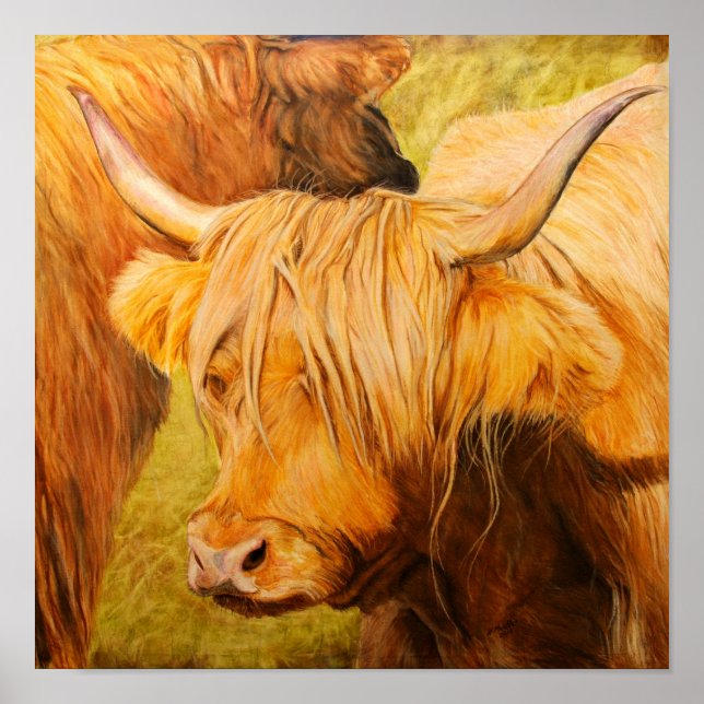 Highland Cow, Oil pastels Poster (Front)