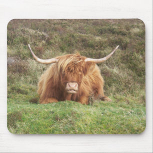 Highland cow on Dartmoor Mouse Pad