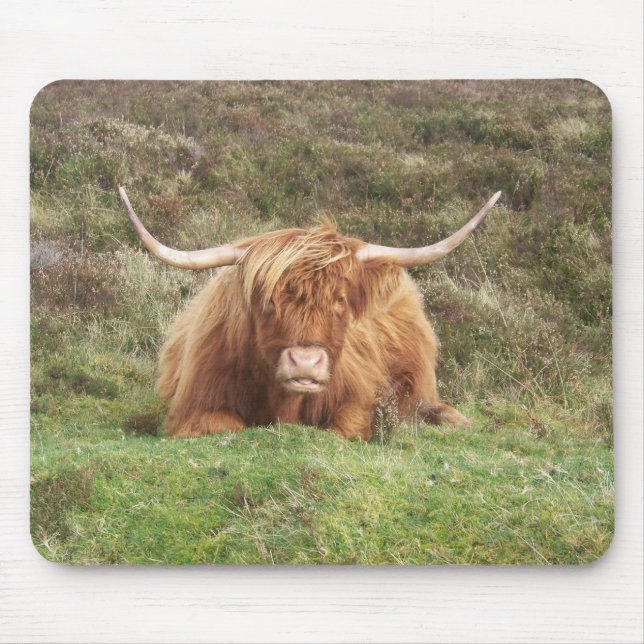 Highland cow on Dartmoor Mouse Pad (Front)