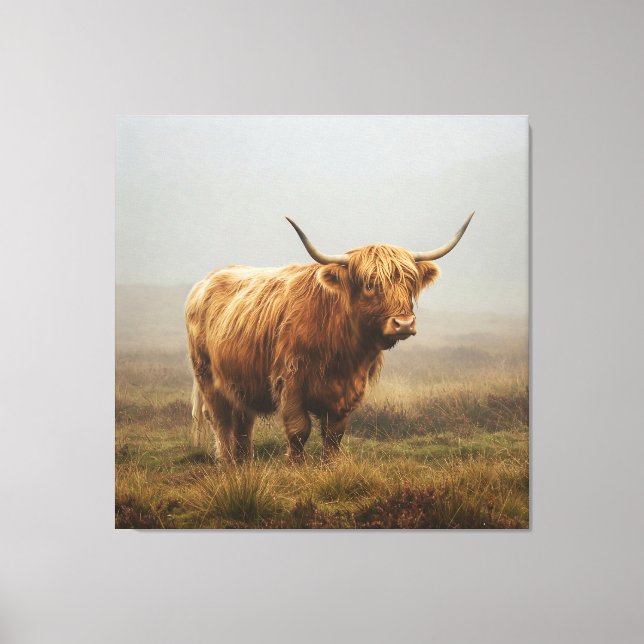 Highland Cow on DAWN Canvas Print (Front)