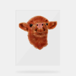 Highland Cow Oversized T-Shirt Acrylic Sign