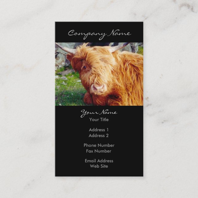 Highland Cow Photo Business Card (Front)