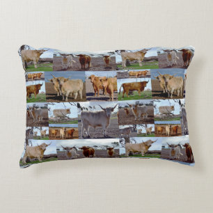 Highland Cow Photo Collage, Accent Pillow