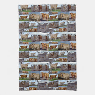 Highland Cow Photo Collage, Kitchen Towel