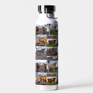 Highland Cow Photo Collage, Water Bottle