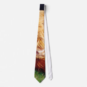 Highland Cow Photo Tie