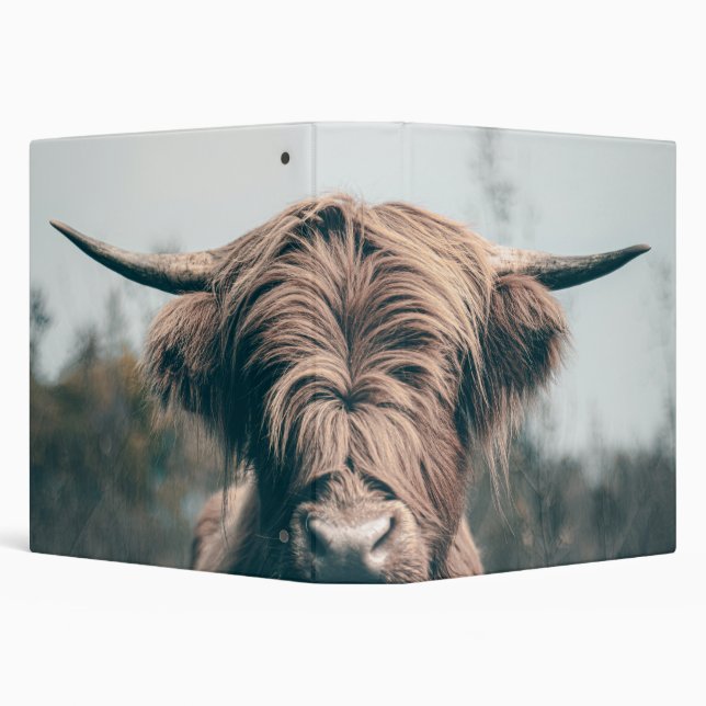Highland cow portrait binder (Background)
