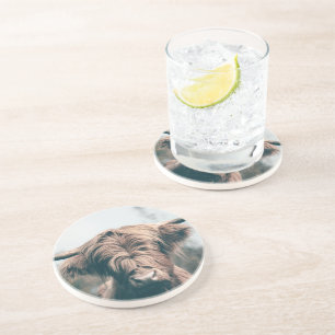 Highland cow portrait coaster