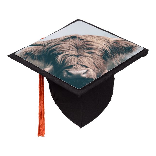 Highland cow portrait graduation cap topper (Angled)