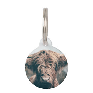 Highland cow portrait pet tag