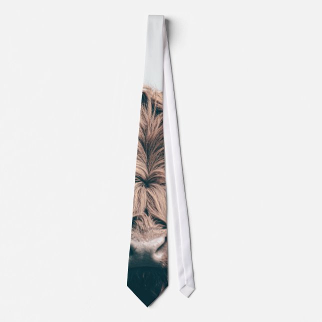 Highland cow portrait tie (Front)