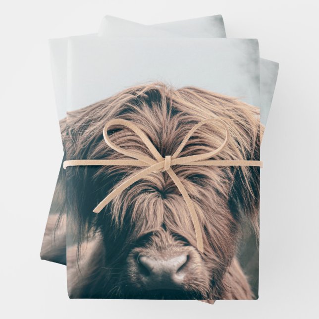Highland cow portrait wrapping paper sheet (In situ)