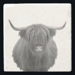 Highland Cow Scotland Black White Farmhouse Stone Coaster<br><div class="desc">This design was created though digital art. It may be personalized in the area provide or customizing by choosing the click to customize further option and changing the name, initials or words. You may also change the text colour and style or delete the text for an image only design. Contact...</div>