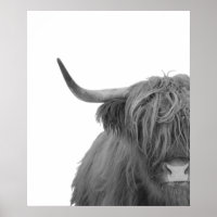 Highland Cow Scotland Russe noir blanc Poster
