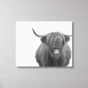 Highland Cow Scotland Rustic Black White  Canvas Print