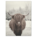 Highland Cow Scotland Rustic  Tissue Paper