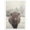 Highland Cow Scotland Rustic  Tissue Paper
