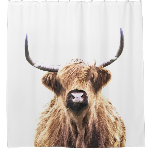 Highland cow scottish animal portrait (Front)