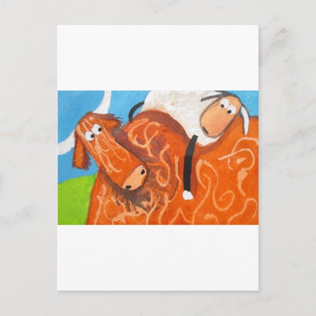 HIGHLAND COW SHEEP POSTCARD (Front)