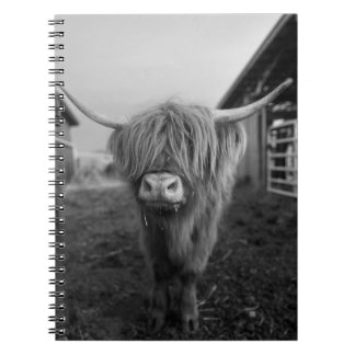 Highland Cow Spiral Notebook