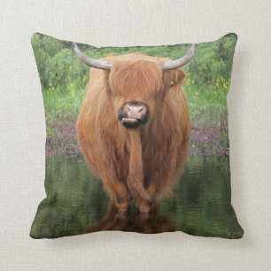 Highland cow throw pillow