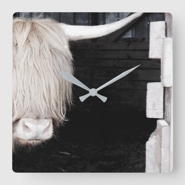 Highland Cow Wall Clock, 10.75" Square Acrylic Clock (Front)