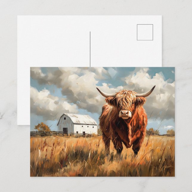 Highland Cow White Barn Rustic Postcard (Front/Back)