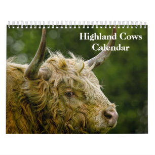 Highland Cows 2027 Calendar