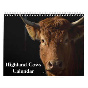 Highland Cows 2027 Calendar