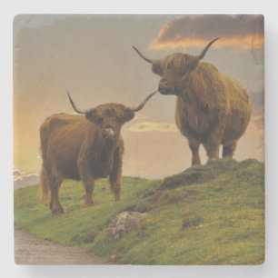 Highland Cows At Sunset Stone Coaster