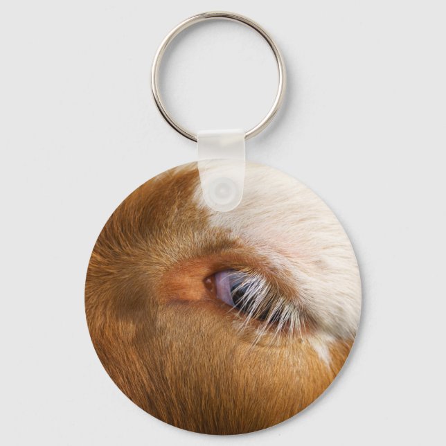 Highland Cow's Eye Keychain (Front)