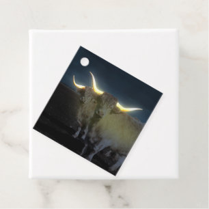 Highland Cows Glowing In The Dark, Gift Tags