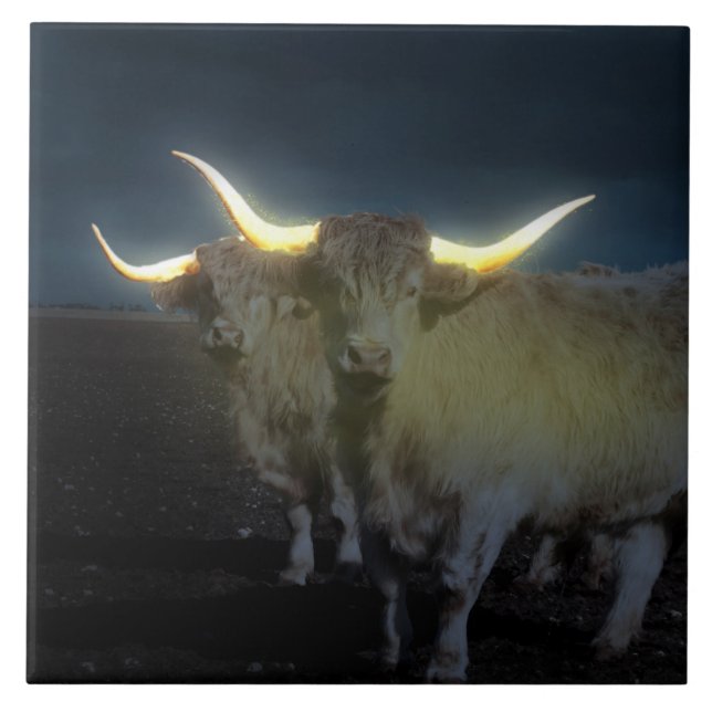 Highland Cows Glowing In The Dark, Lg Ceramic Tile (Front)