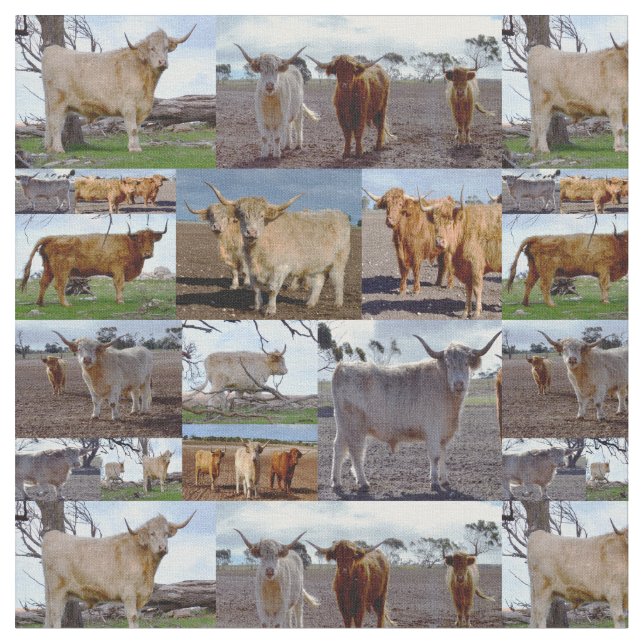 Highland Cows In A Photo Collage, Fabric (Close Up)
