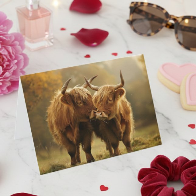 Highland Cows in love Postcard  (Creator Uploaded)